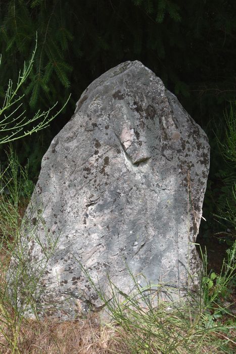 vue générale d’un des mégalithes