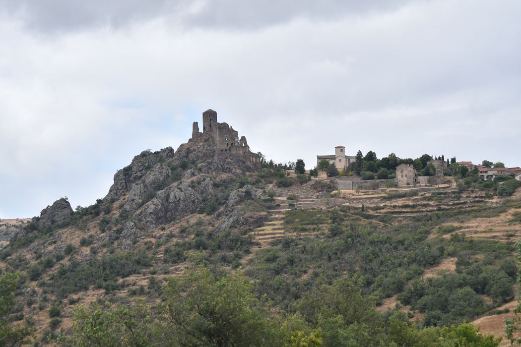vue générale du château dans son environnement depuis le Sud