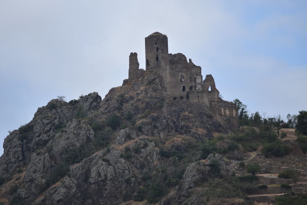 vue générale du château dans son environnement depuis le Sud