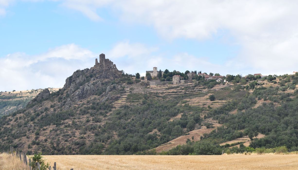 vue générale du château dans son environnement depuis le Sud