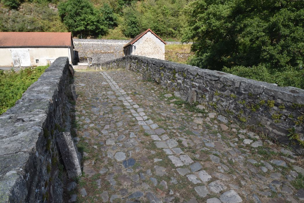 vue générale du tablier depuis la berge ouest