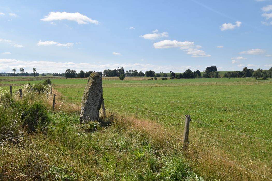 vue générale du menhir dans son environnement depuis le Nord