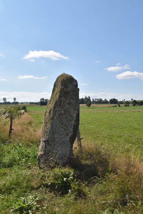 vue générale du menhir depuis le Nord