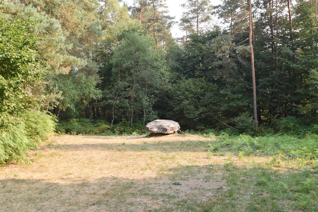 vue générale du dolmen dans son environnement depuis le Nord