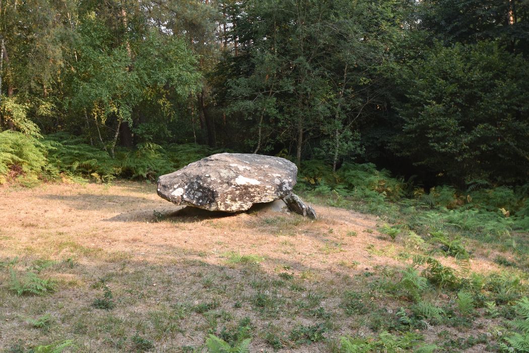 vue générale du dolmen