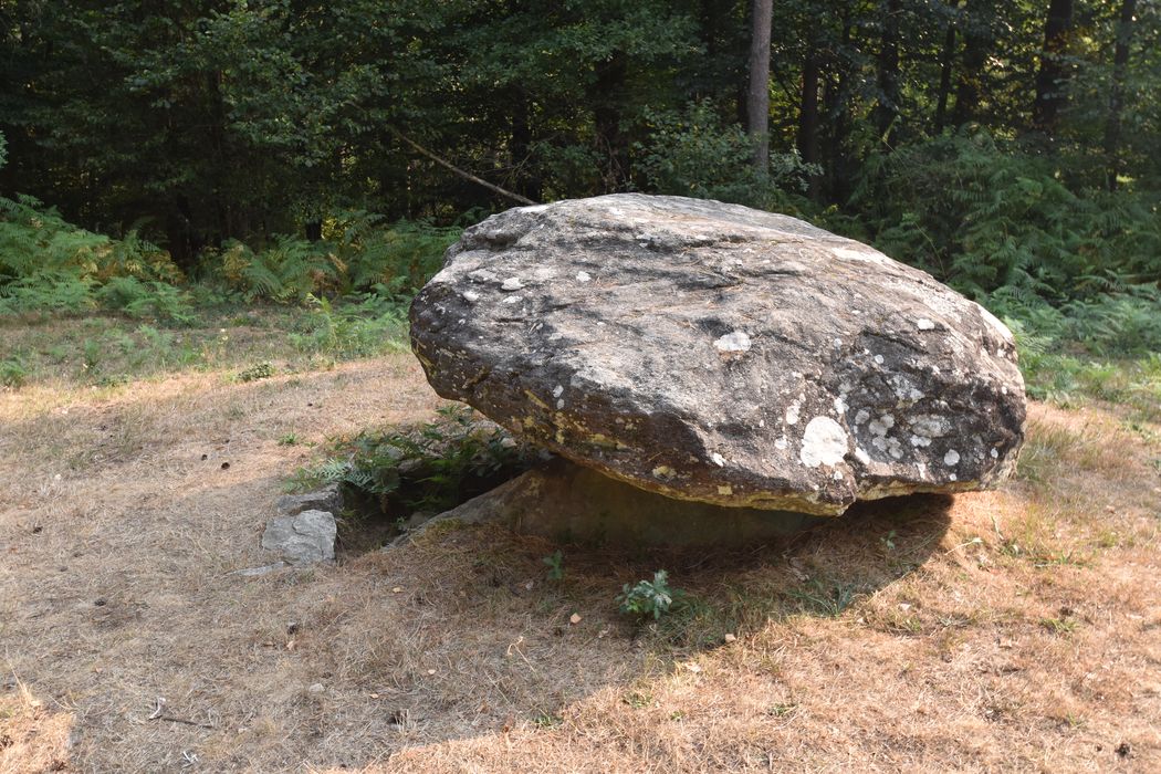 vue générale du dolmen