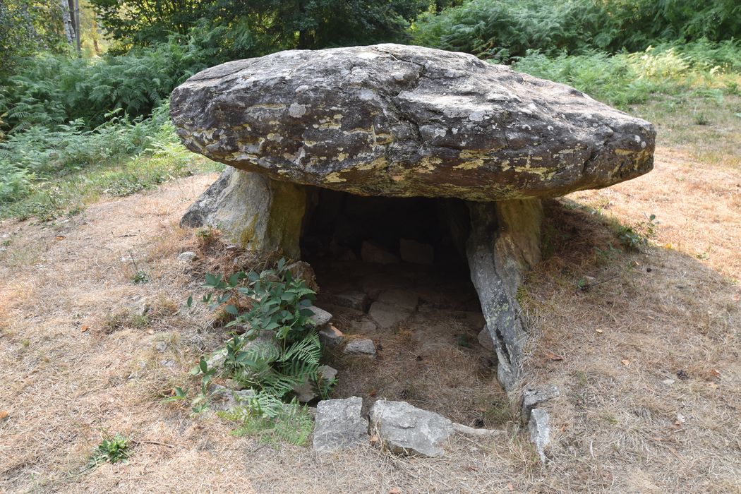 vue générale du dolmen