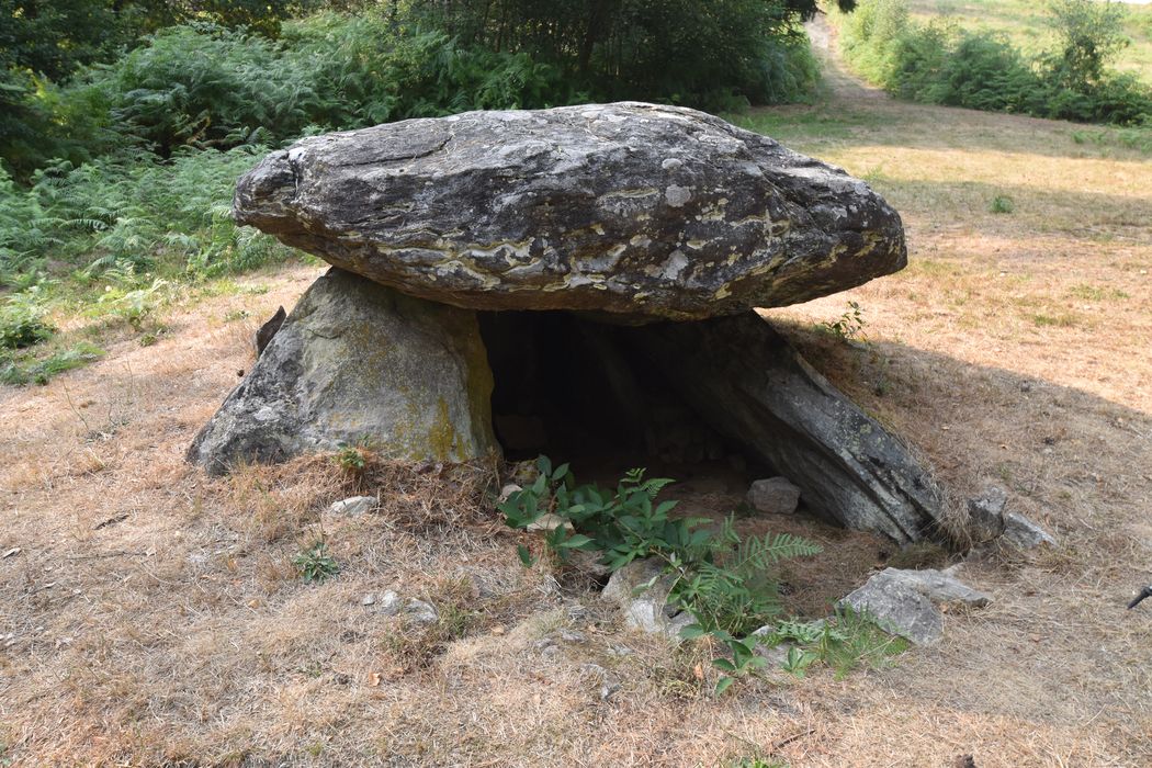 vue générale du dolmen