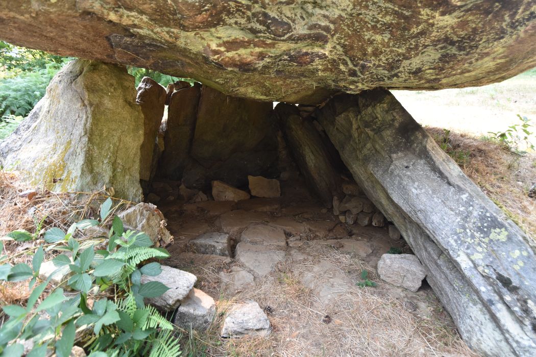 vue partielle du dolmen