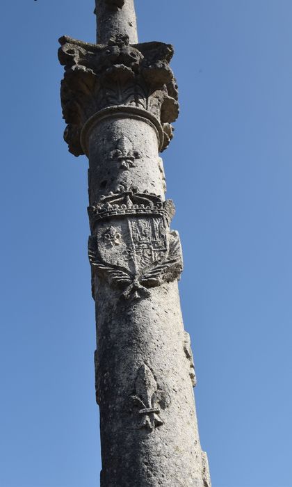 détail des armoiries sculptées sur le fût