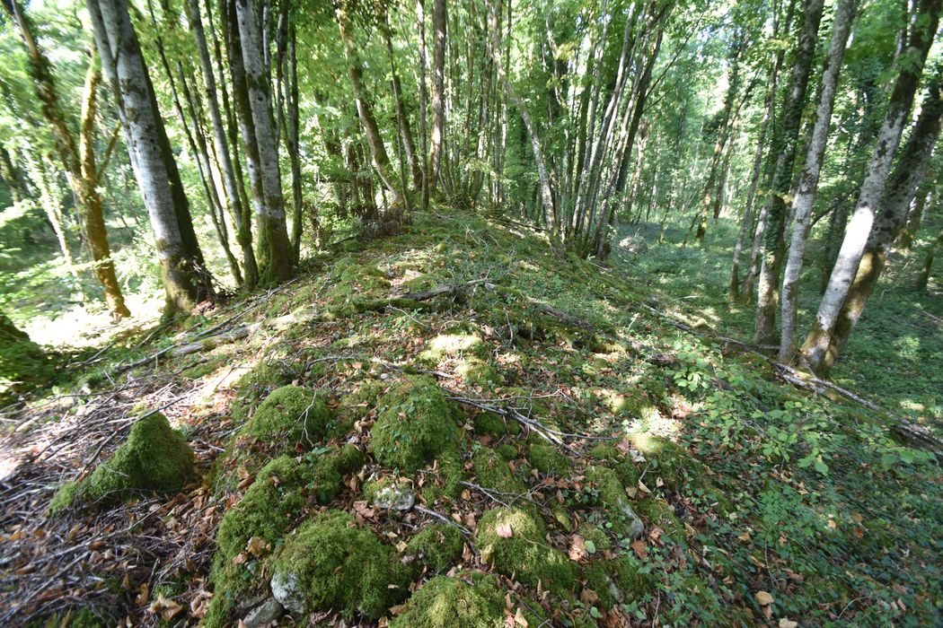 vue partielle du site à l’ouest du chemin orienté Nord-Sud