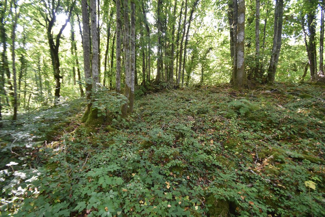 vue partielle du site à l’ouest du chemin orienté Nord-Sud