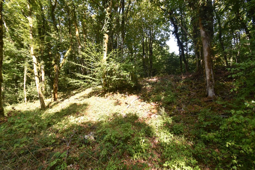 vue partielle du site à l’ouest du chemin orienté Nord-Sud