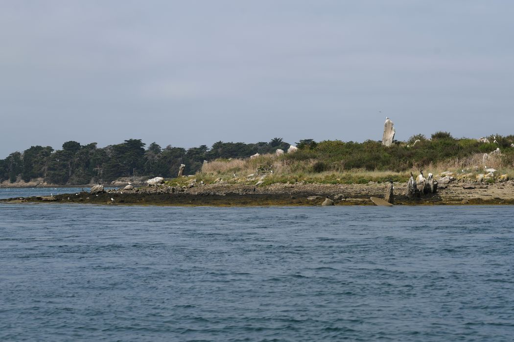 vue générale du site