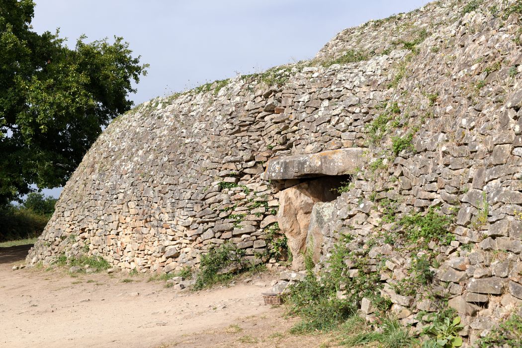 vue partielle du tumulus