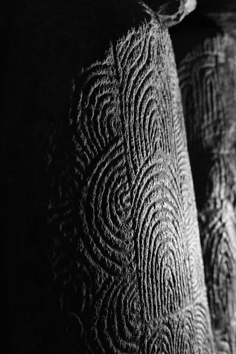 détail des roches gravées