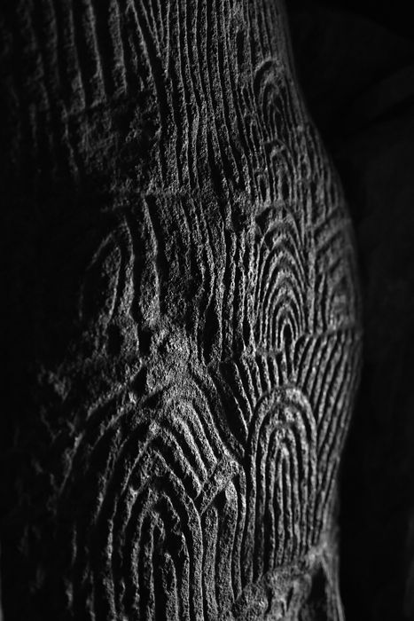 détail des roches gravées