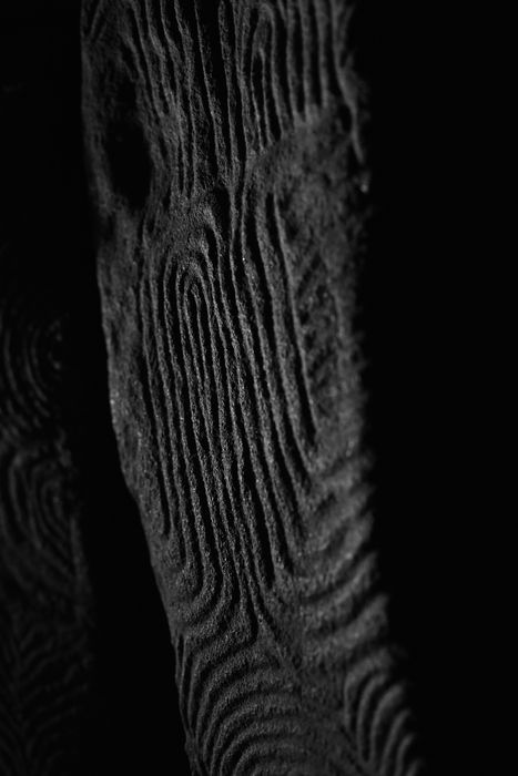 détail des roches gravées