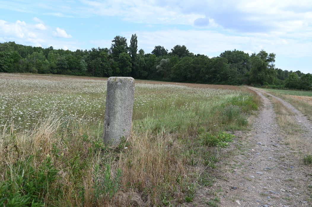 vue générale de la borne dans son environnement