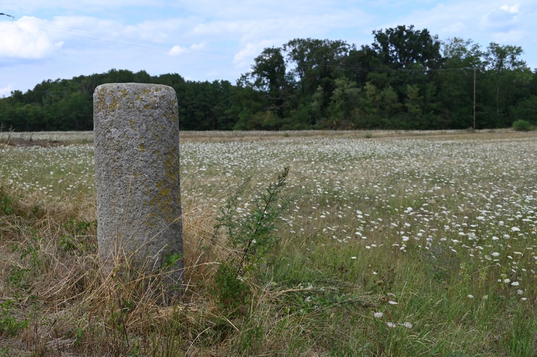 vue générale de la borne dans son environnement