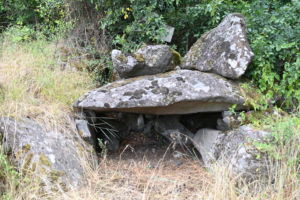 vue générale du dolmen