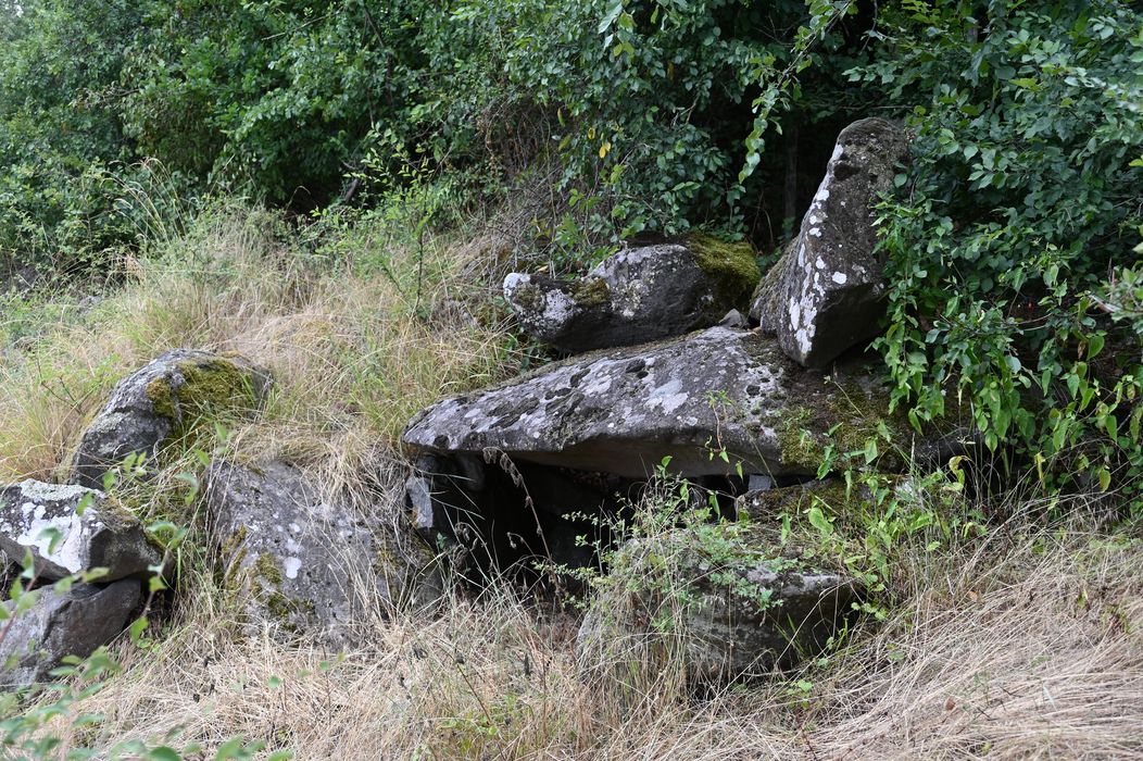 vue générale du dolmen