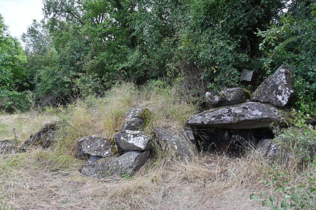 vue générale du dolmen