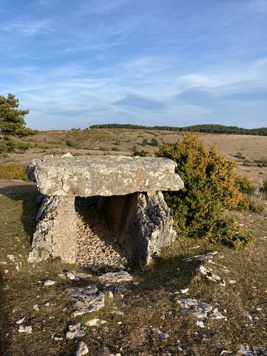 vue générale du dolmen