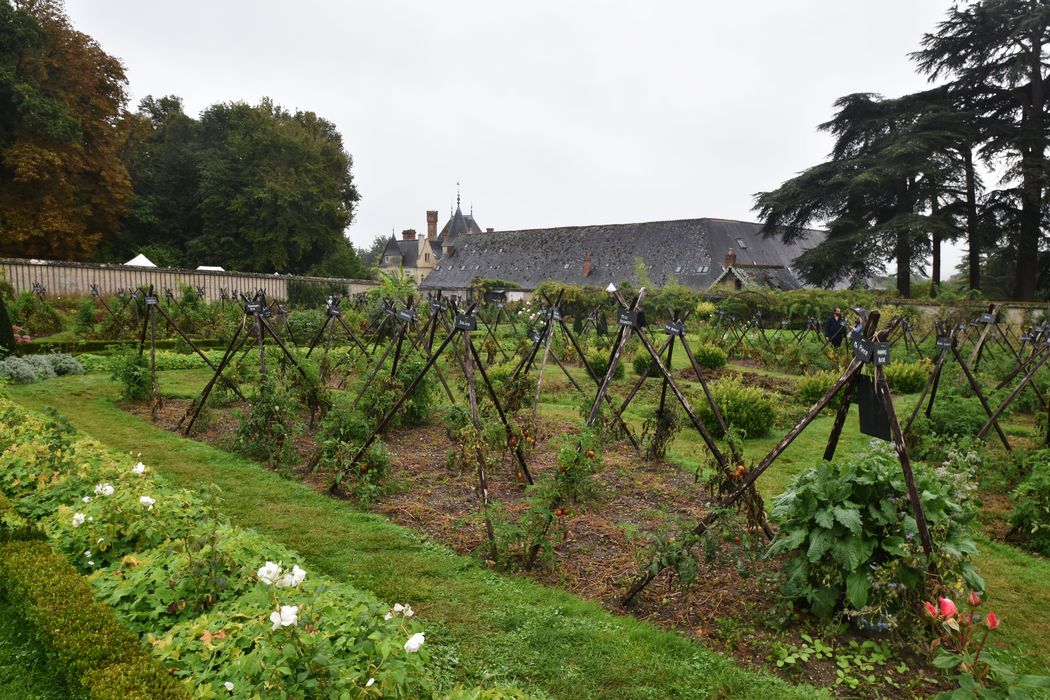 potager, vue partielle
