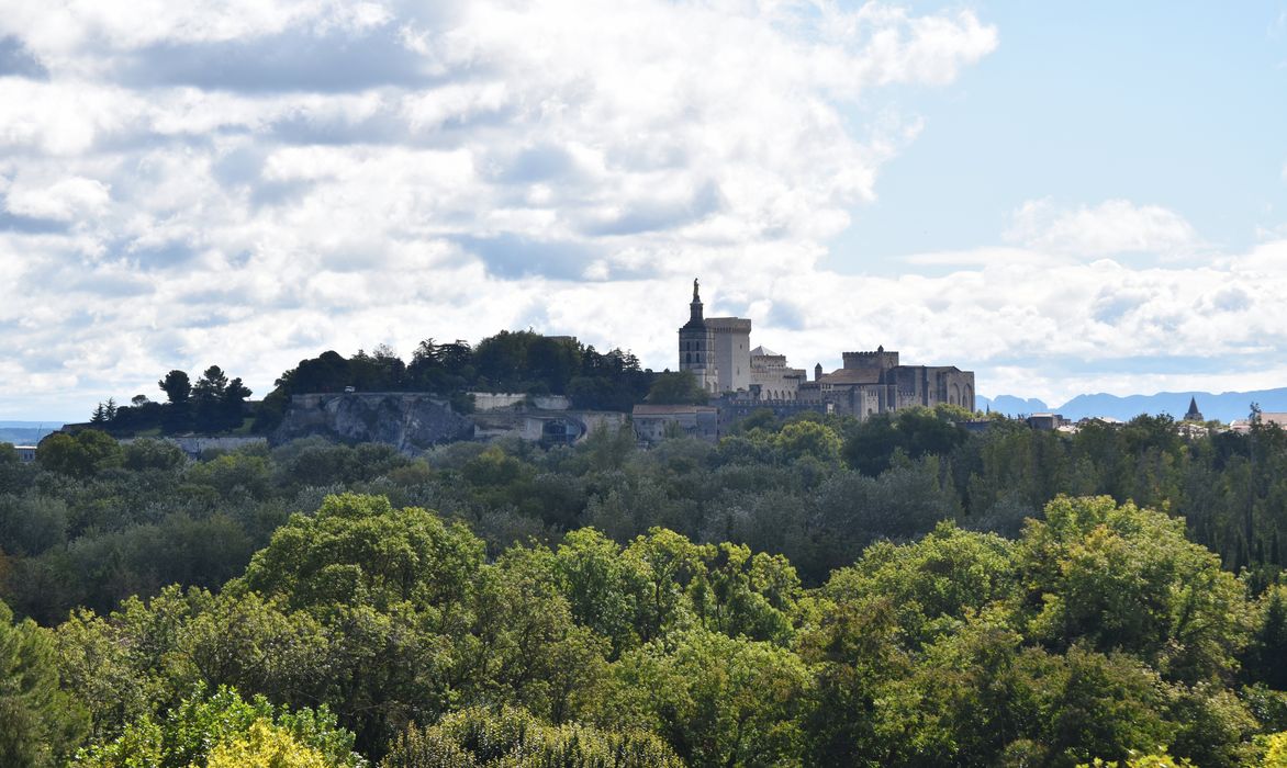 vue générale du palais des Papes et de la ville d’Avignon depuis le fort Saint-André de Villeneuve-lès-Avignon à l’Ouest