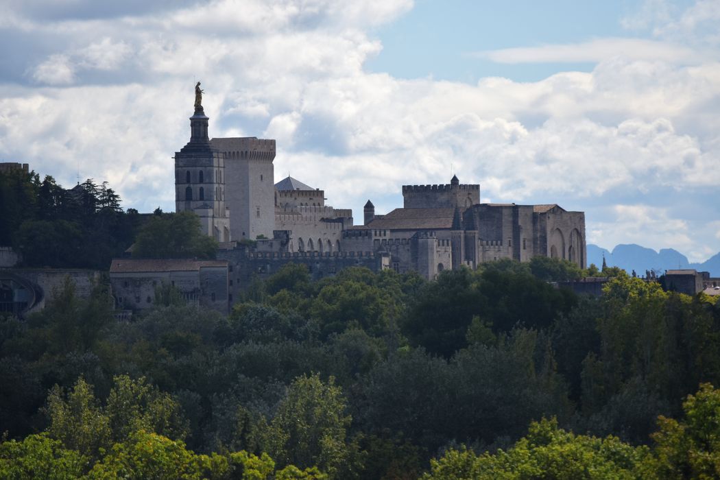 vue générale du palais des Papes et de la ville d’Avignon depuis le fort Saint-André de Villeneuve-lès-Avignon à l’Ouest