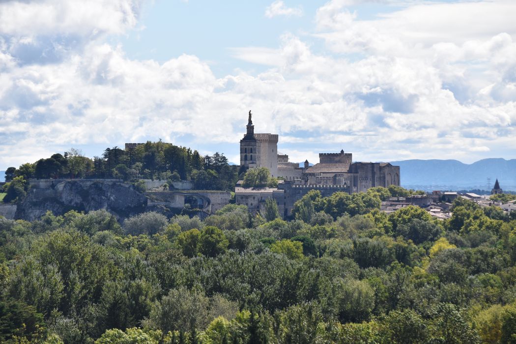 vue générale du palais des Papes et de la ville d’Avignon depuis le fort Saint-André de Villeneuve-lès-Avignon à l’Ouest