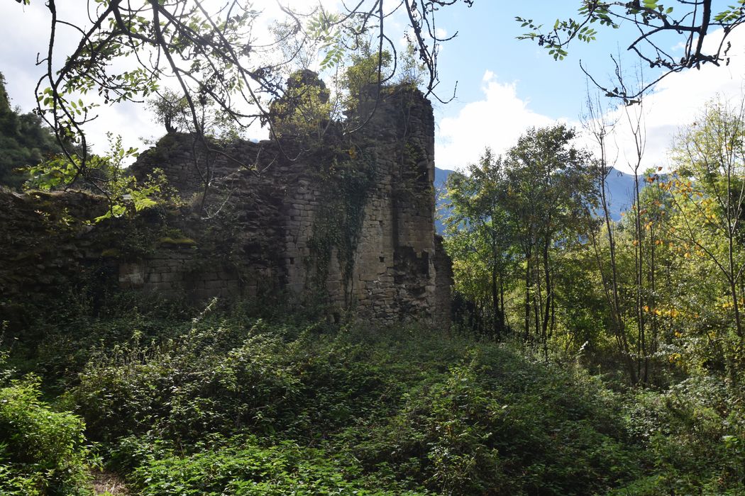 vue partielle des vestiges de l’église, façade latérale nord