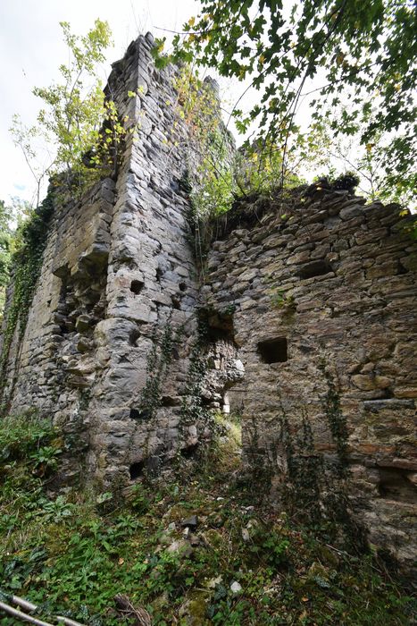vue partielle des vestiges de l’église, façade latérale nord