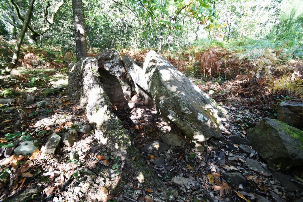 vue générale du dolmen