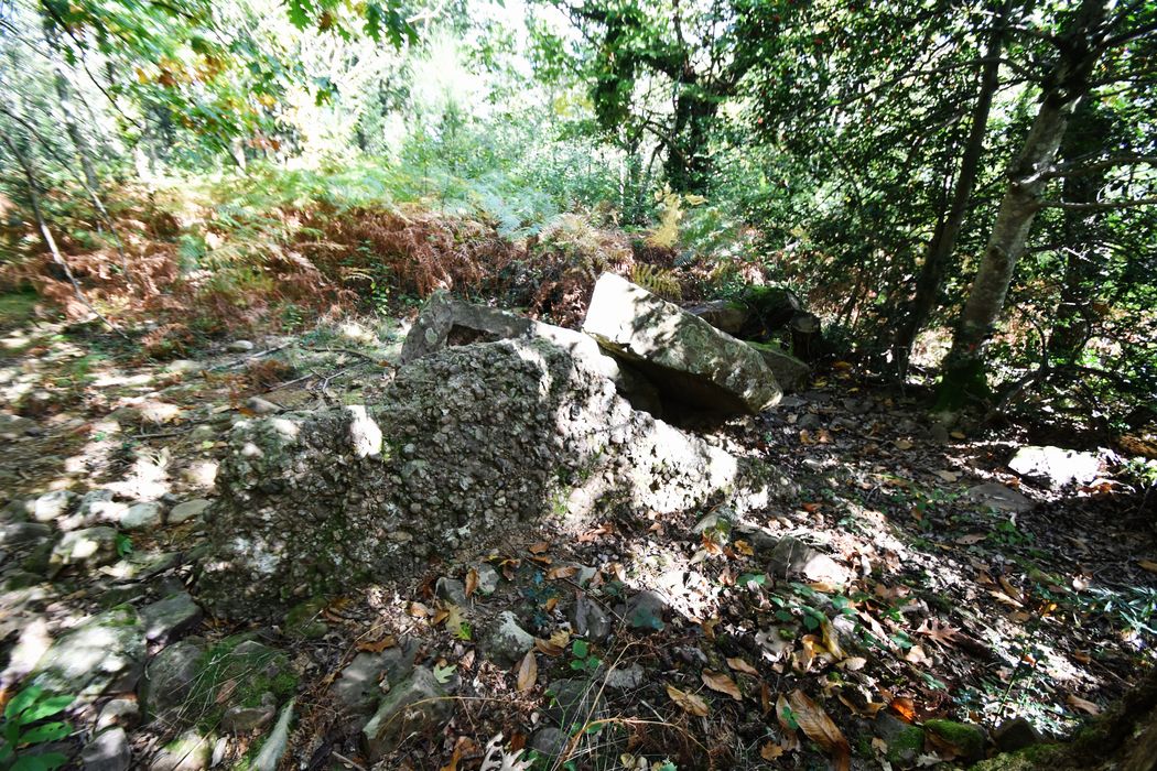 vue générale du dolmen