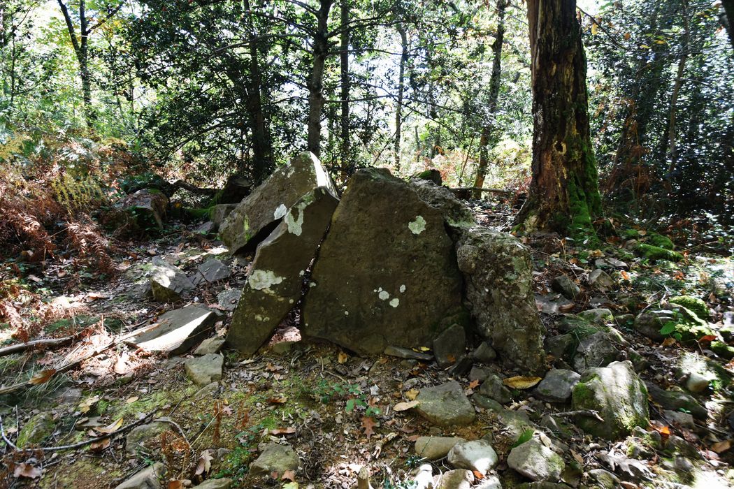 vue générale du dolmen