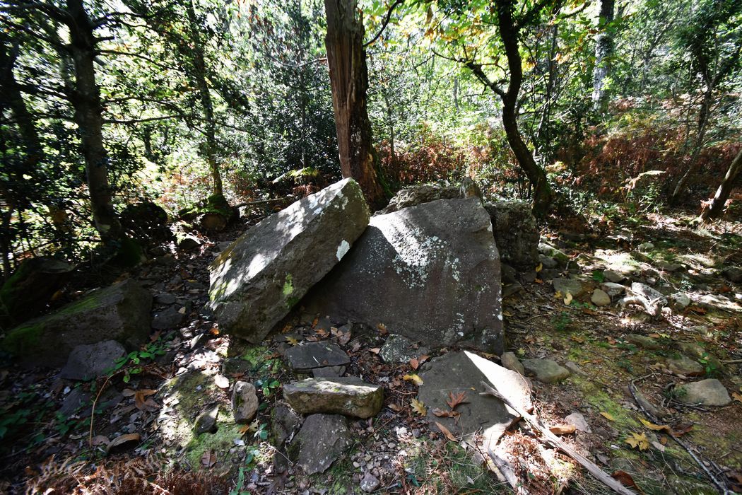vue générale du dolmen