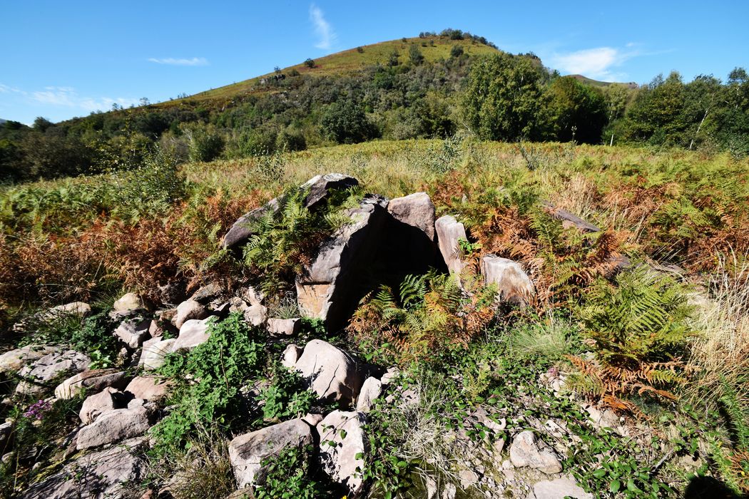 vue générale du dolmen