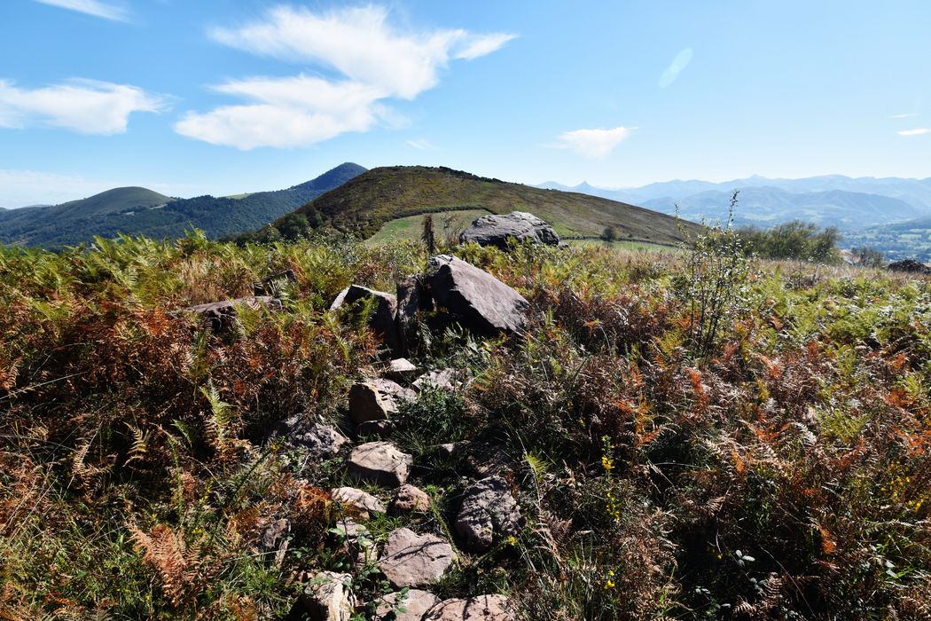 vue partielle du dolmen