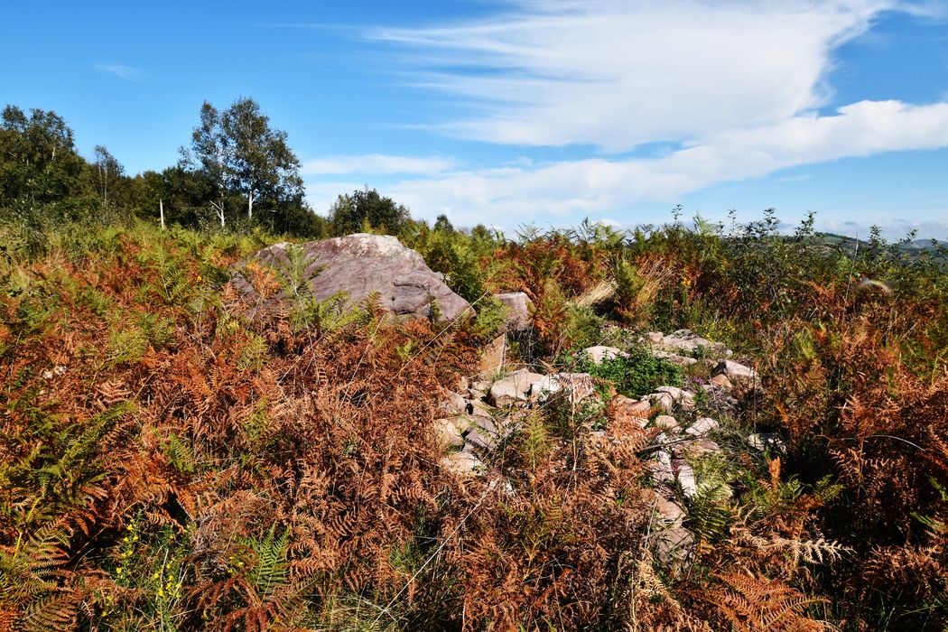vue partielle du dolmen