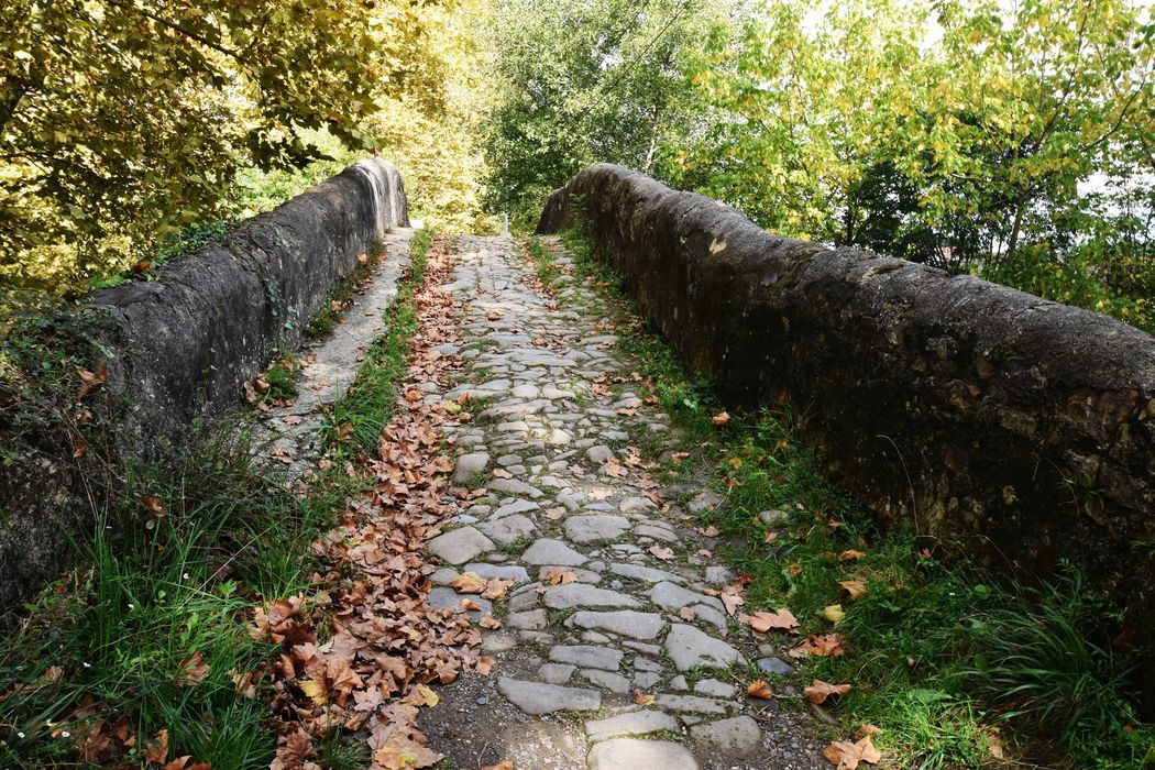 vue générale du tablier