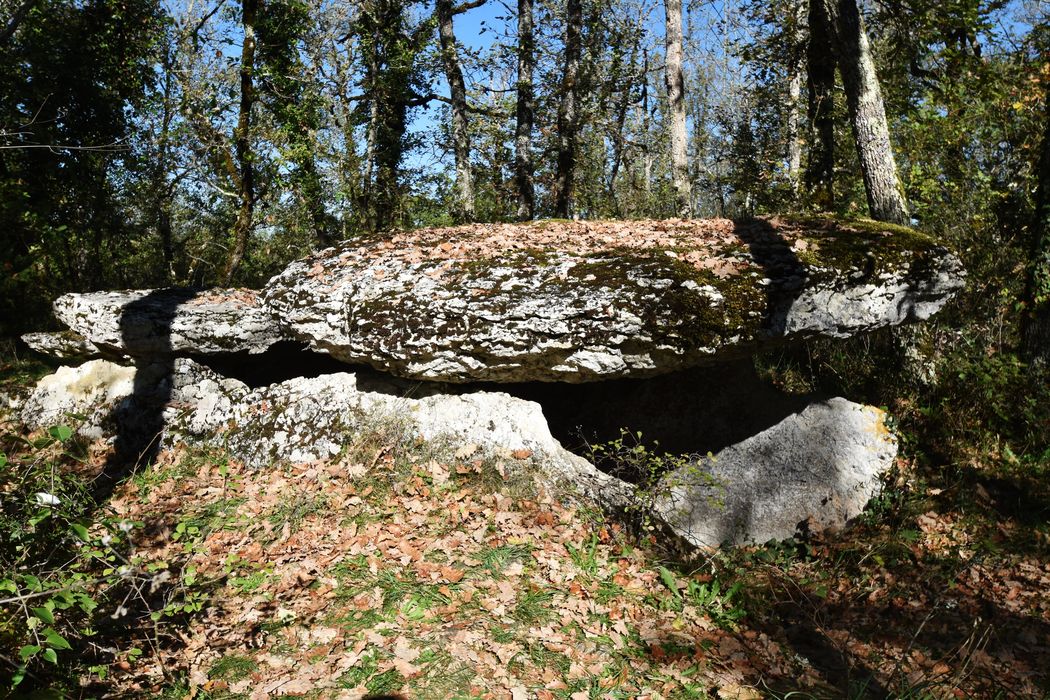vue générale du dolmen