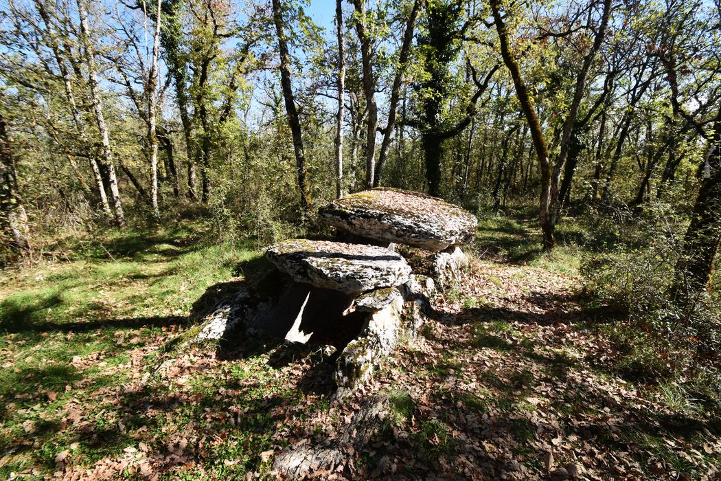 vue générale du dolmen
