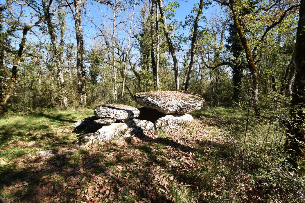 vue générale du dolmen