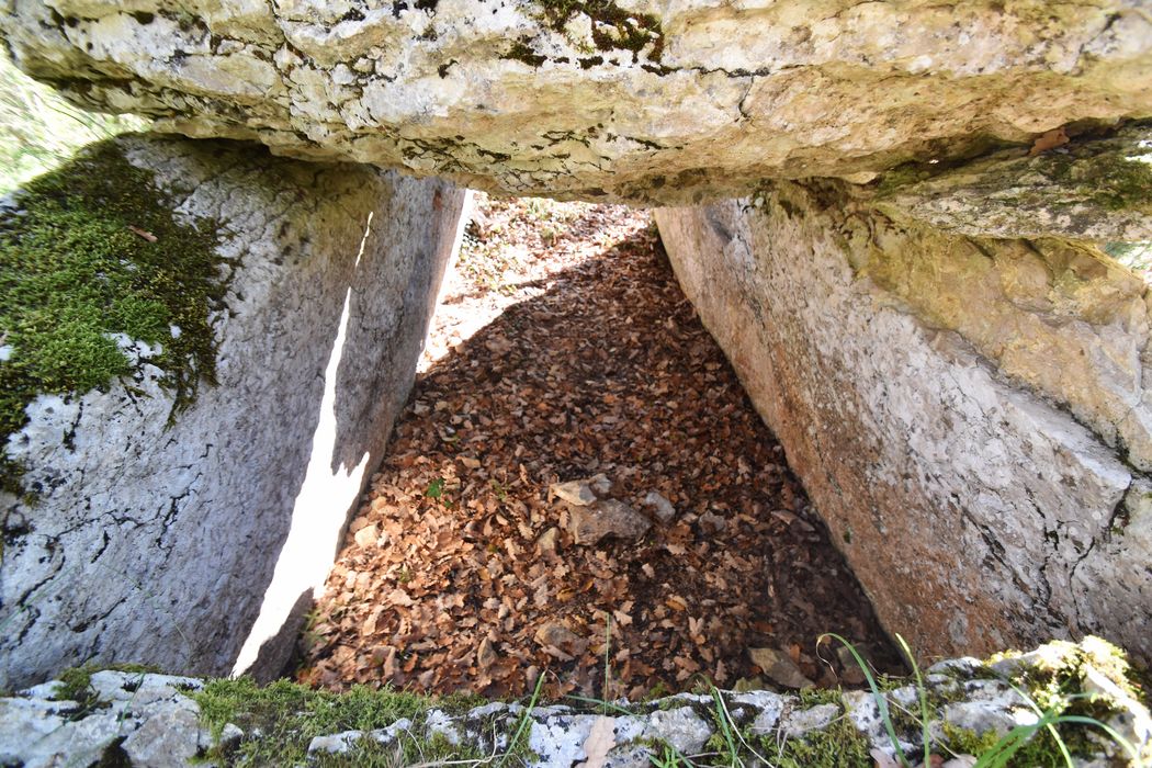 vue partielle du dolmen
