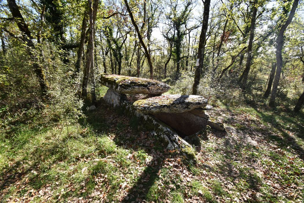 vue générale du dolmen