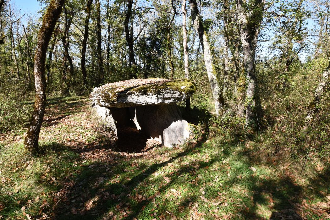 vue générale du dolmen