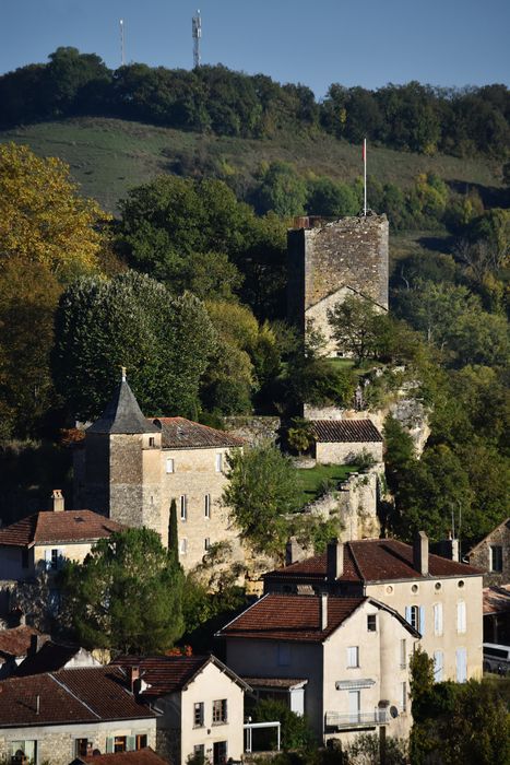 vue partielle du site du château dans son environnement depuis l’avenue du Père Évariste Huc au Nord-Ouest