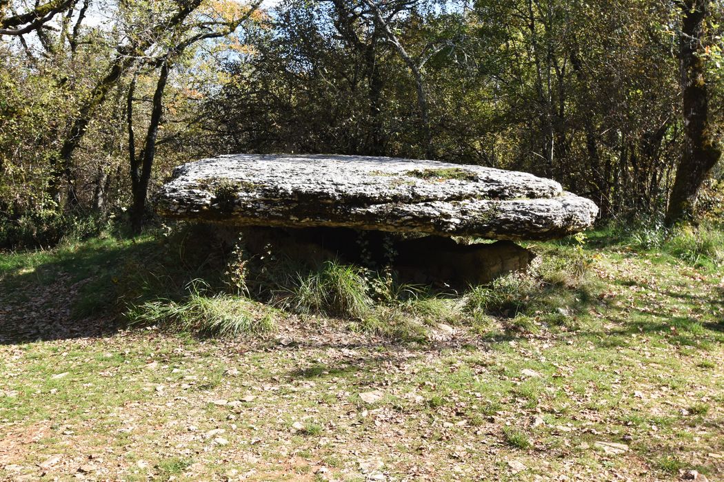 vue générale du dolmen